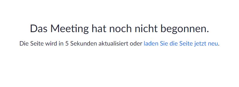 Zoom Teilnahme 10.JPG